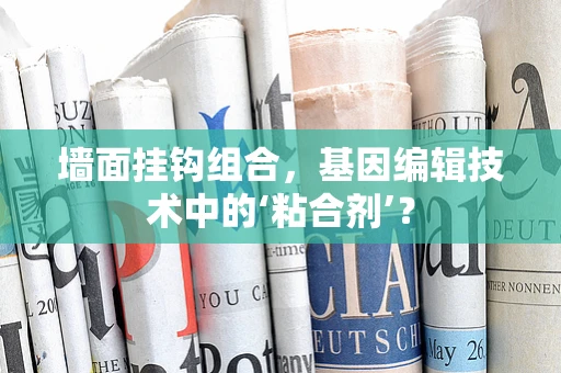 墙面挂钩组合，基因编辑技术中的‘粘合剂’？