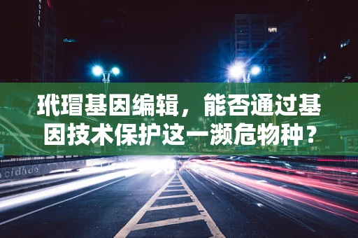 玳瑁基因编辑，能否通过基因技术保护这一濒危物种？