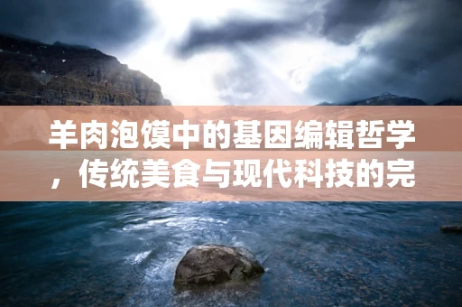 羊肉泡馍中的基因编辑哲学，传统美食与现代科技的完美融合？