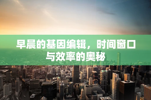 早晨的基因编辑，时间窗口与效率的奥秘