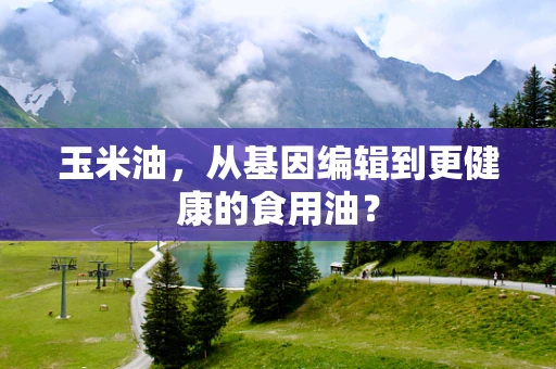 玉米油，从基因编辑到更健康的食用油？
