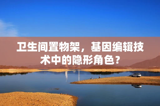 卫生间置物架，基因编辑技术中的隐形角色？