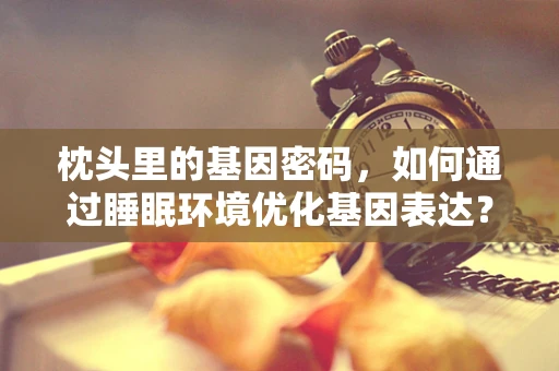 枕头里的基因密码，如何通过睡眠环境优化基因表达？