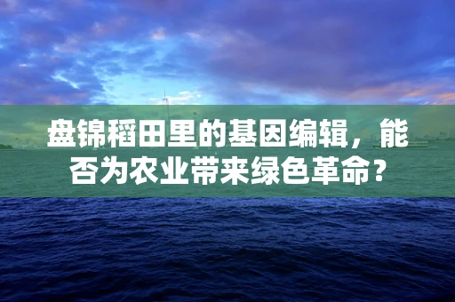 盘锦稻田里的基因编辑，能否为农业带来绿色革命？