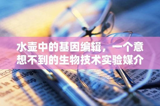 水壶中的基因编辑，一个意想不到的生物技术实验媒介？
