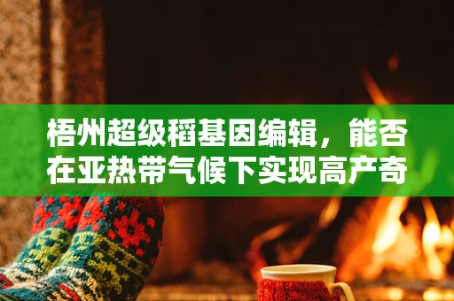 梧州超级稻基因编辑，能否在亚热带气候下实现高产奇迹？