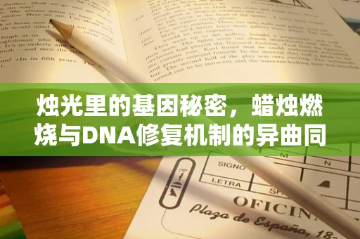 烛光里的基因秘密，蜡烛燃烧与DNA修复机制的异曲同工之处？