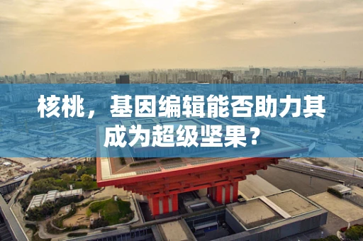 核桃，基因编辑能否助力其成为超级坚果？