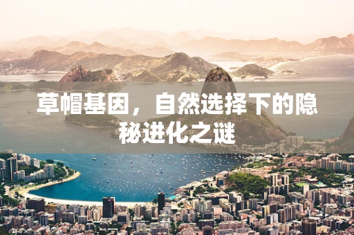 草帽基因，自然选择下的隐秘进化之谜