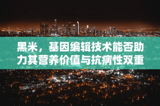 黑米，基因编辑技术能否助力其营养价值与抗病性双重提升？