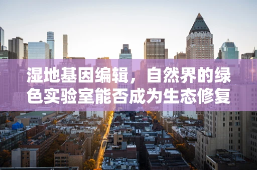湿地基因编辑，自然界的绿色实验室能否成为生态修复的新希望？
