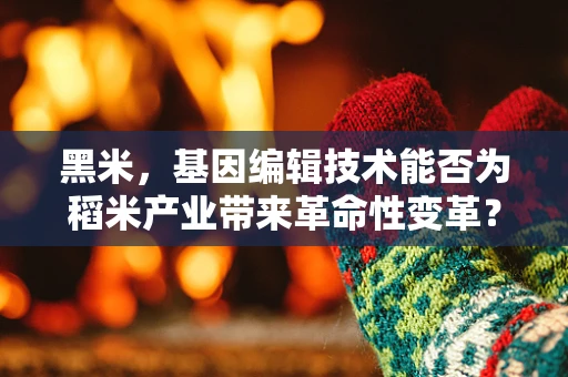 黑米，基因编辑技术能否为稻米产业带来革命性变革？