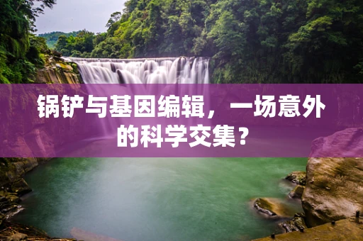 锅铲与基因编辑，一场意外的科学交集？