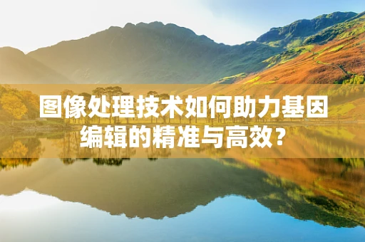 图像处理技术如何助力基因编辑的精准与高效？