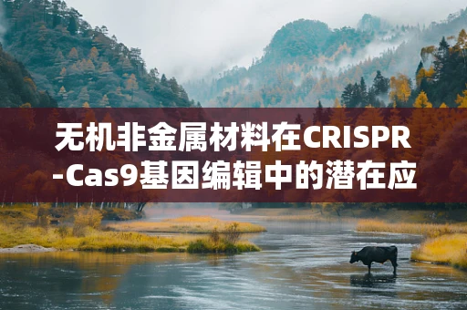 无机非金属材料在CRISPR-Cas9基因编辑中的潜在应用，是辅助工具还是新挑战？