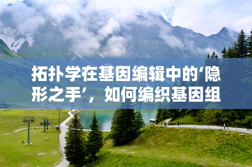 拓扑学在基因编辑中的‘隐形之手’，如何编织基因组的空间结构？
