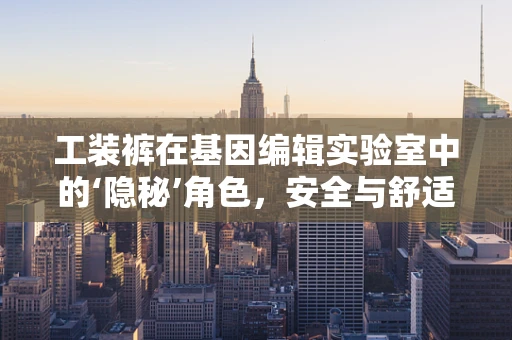 工装裤在基因编辑实验室中的‘隐秘’角色，安全与舒适的平衡艺术