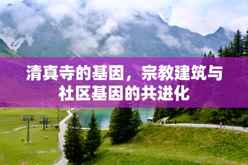 清真寺的基因，宗教建筑与社区基因的共进化