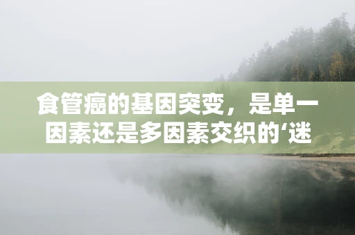 食管癌的基因突变，是单一因素还是多因素交织的‘迷宫’？