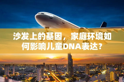 沙发上的基因，家庭环境如何影响儿童DNA表达？