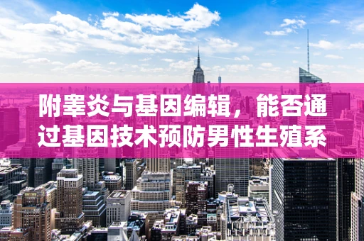 附睾炎与基因编辑，能否通过基因技术预防男性生殖系统炎症？