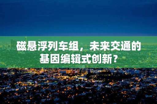 磁悬浮列车组，未来交通的基因编辑式创新？