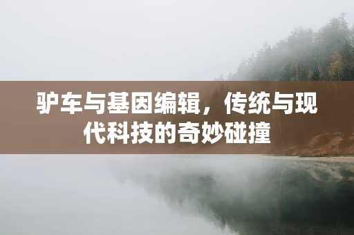 驴车与基因编辑，传统与现代科技的奇妙碰撞