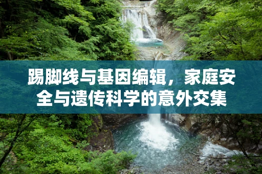 踢脚线与基因编辑，家庭安全与遗传科学的意外交集