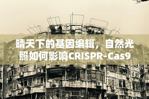 晴天下的基因编辑，自然光照如何影响CRISPR-Cas9的效率？