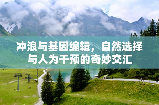 冲浪与基因编辑，自然选择与人为干预的奇妙交汇