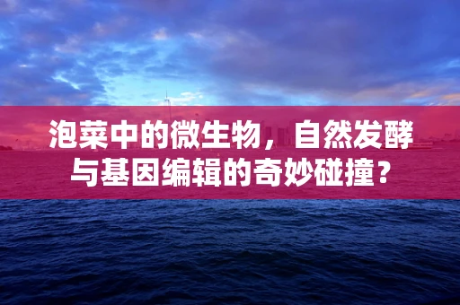 泡菜中的微生物，自然发酵与基因编辑的奇妙碰撞？