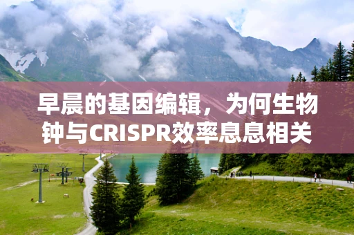 早晨的基因编辑，为何生物钟与CRISPR效率息息相关？