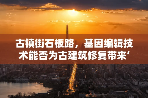 古镇街石板路，基因编辑技术能否为古建筑修复带来‘生命’般的重生？