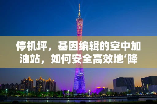 停机坪，基因编辑的空中加油站，如何安全高效地‘降落’？
