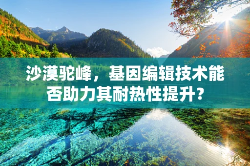 沙漠驼峰，基因编辑技术能否助力其耐热性提升？