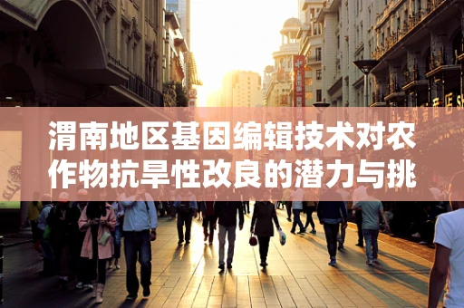 渭南地区基因编辑技术对农作物抗旱性改良的潜力与挑战