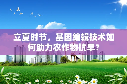 立夏时节，基因编辑技术如何助力农作物抗旱？