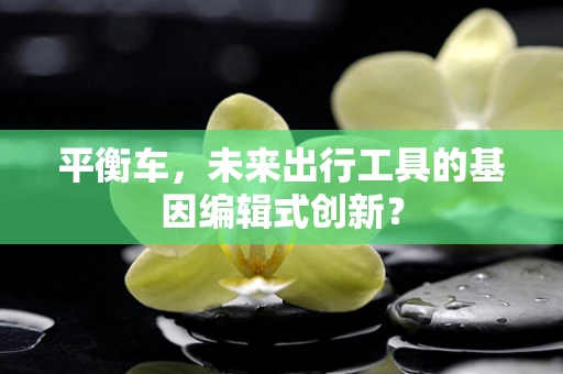 平衡车，未来出行工具的基因编辑式创新？