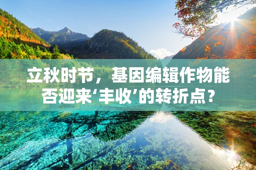 立秋时节，基因编辑作物能否迎来‘丰收’的转折点？