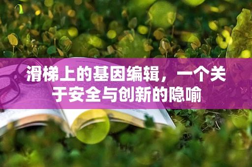 滑梯上的基因编辑，一个关于安全与创新的隐喻