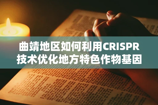 曲靖地区如何利用CRISPR技术优化地方特色作物基因？