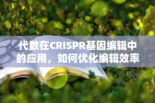 代数在CRISPR基因编辑中的应用，如何优化编辑效率的数学模型？