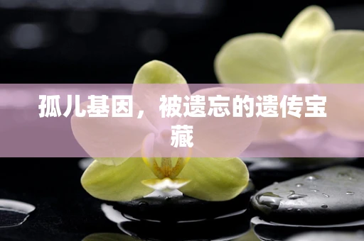 孤儿基因，被遗忘的遗传宝藏