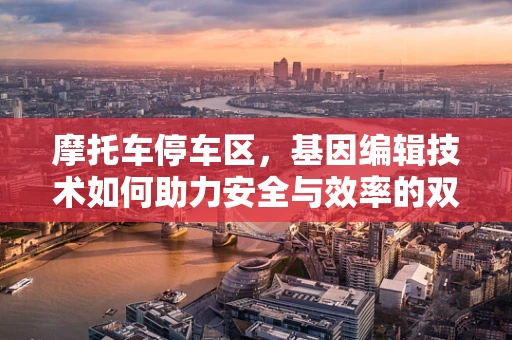 摩托车停车区，基因编辑技术如何助力安全与效率的双重提升？