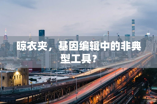 晾衣夹，基因编辑中的非典型工具？