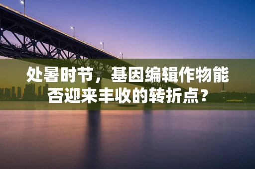 处暑时节，基因编辑作物能否迎来丰收的转折点？