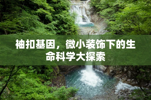 袖扣基因，微小装饰下的生命科学大探索