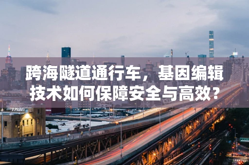 跨海隧道通行车，基因编辑技术如何保障安全与高效？