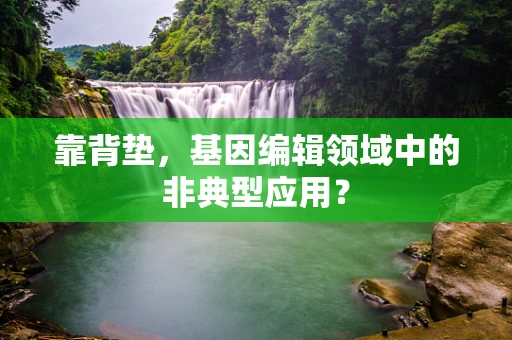 靠背垫，基因编辑领域中的非典型应用？