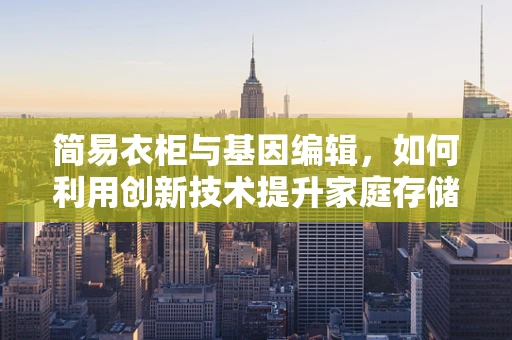 简易衣柜与基因编辑，如何利用创新技术提升家庭存储的基因优化？
